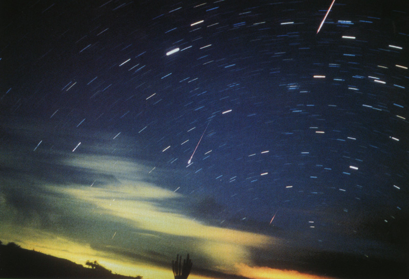 2009年11月 獅子座流星雨
